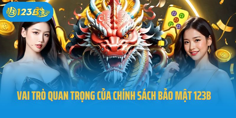 Vai trò quan trọng của chính sách bảo mật tại 123B